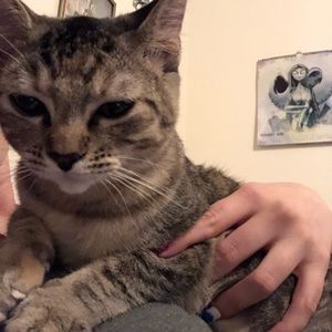 Meet your Posher, Ashley